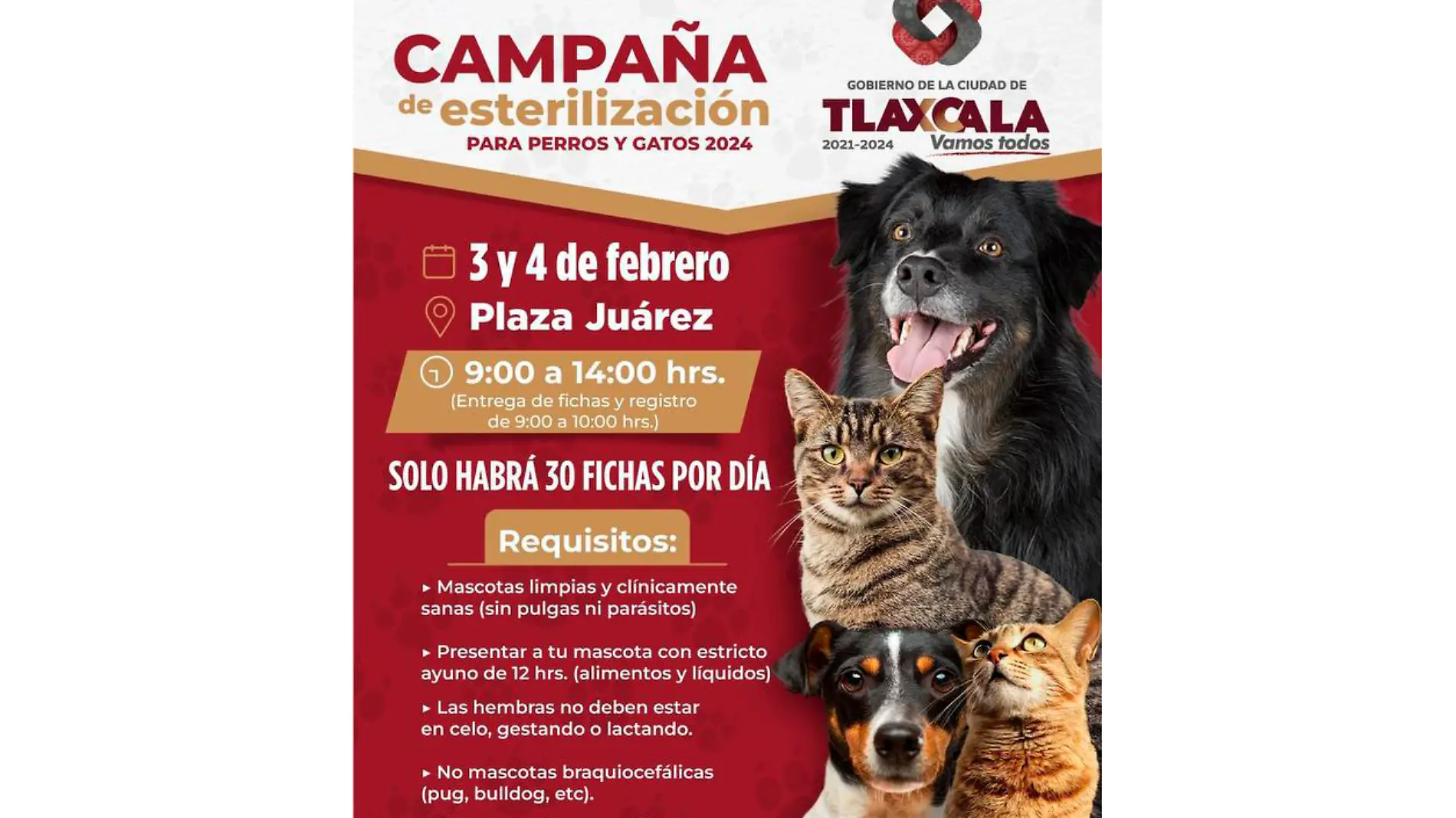 cartel vacunación mascotas 1-1